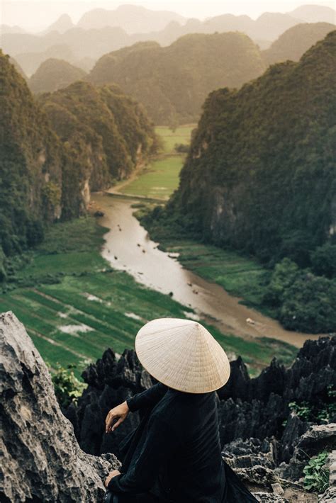 Vietnam’s Empty Forests - The New York Times