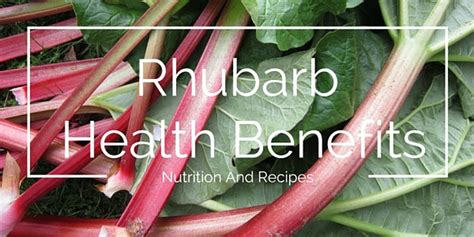 The Rhubarb Health Benefits: Nutrition And Recipes