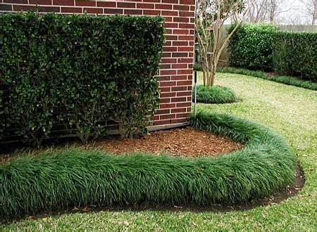 mondo grass border in front of hydrangeas | Front yard landscaping, Grasses landscaping ...