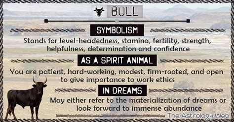 Bull Meaning and Symbolism | The Astrology Web