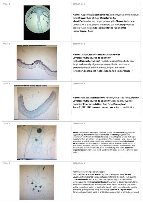 Bio 11B Lab 14 Fungi | BIOL - Biology 2 - Intermediate - Docsity