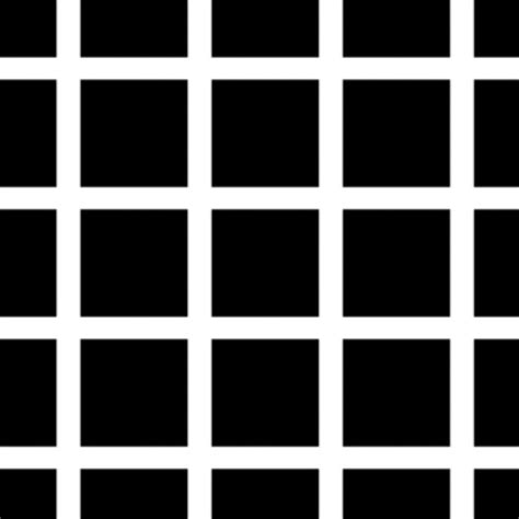 Here's Why You Can't See All 12 Black Dots in This Crazy Optical ...