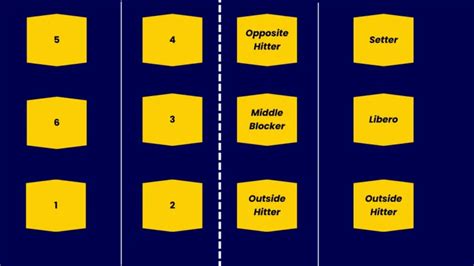 Volleyball Positions & Players