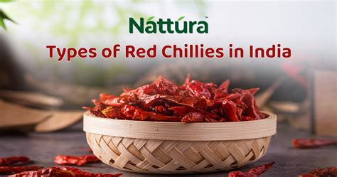 Know Your Spice: Types of Red Chillies in India