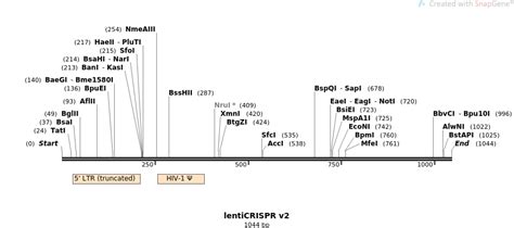 Addgene: lentiCRISPR v2 Sequences