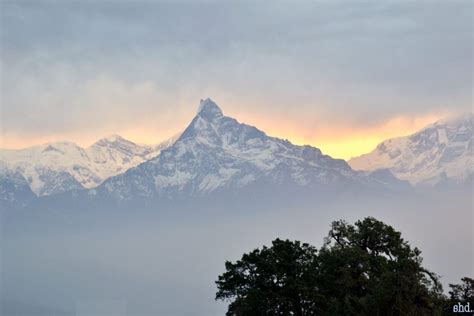 Himalayan Sunrise | Glad Tidings