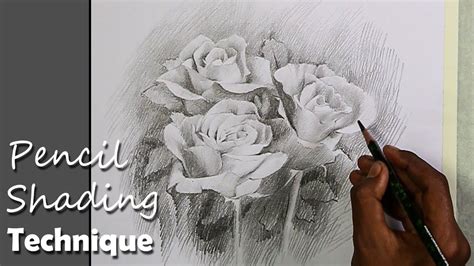 Rose Pencil Shading