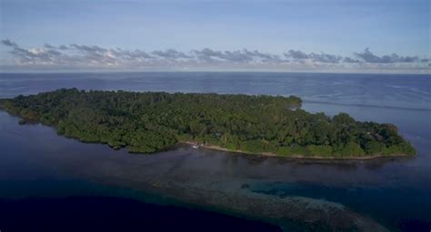 At least 16 women, children killed in tribal massacre in Papua New ...