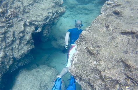 Snorkeling at Shark's Cove, North Shore, Oahu. August 21, 2017. | Oahu ...