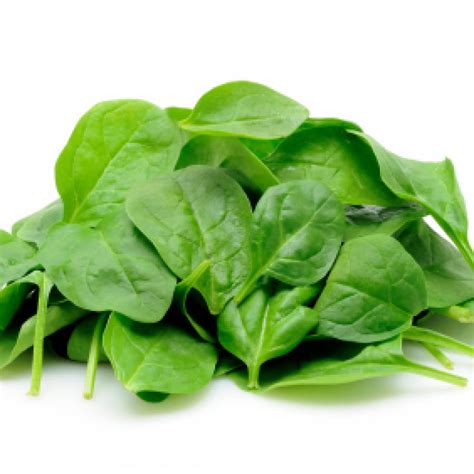 Young spinach leaves in isolated white background | SuperKids Nutrition