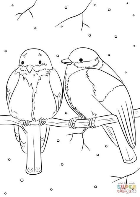 21+ Exklusives Bild von Vogel Malvorlagen – adult coloring pages ...