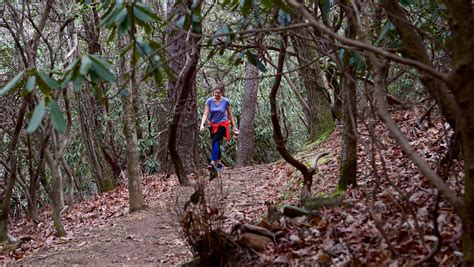 WNC hiking trails: The best spots to hike this winter