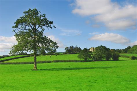 Countryside, Ireland Free Photo Download | FreeImages