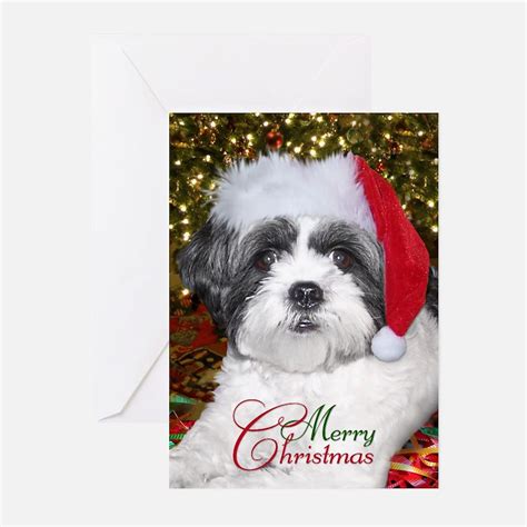 Shih Tzu Christmas Greeting Cards | Card Ideas, Sayings, Designs ...