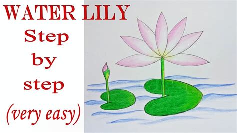 How to draw water lily step by step ( very easy) - YouTube