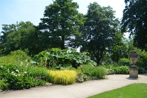 Oxford Botanic Garden – The Oxford Magazine