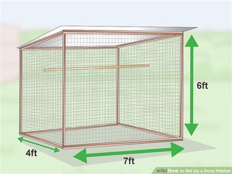 3 Ways to Set Up a Dove Habitat - wikiHow Pet