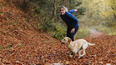 Best puppy and dog training course deal: 90% off | Mashable