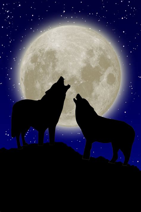 full moon tonight | Wolf howling at moon, Wolf spirit animal, Wolf painting