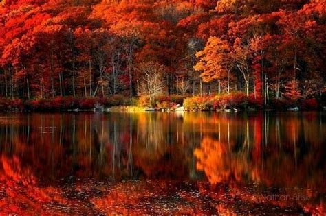 Perfect peace! | Autumn scenery, Autumn scenes, Fall pictures