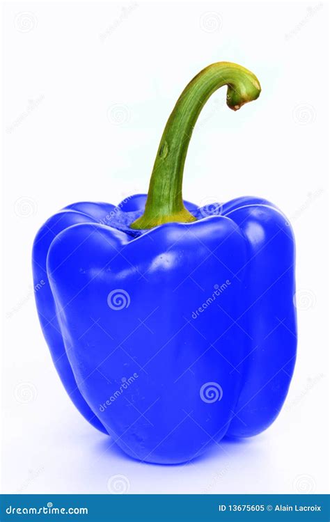 Blue pepper stock image. Image of health, abnormal, extraordinary - 13675605