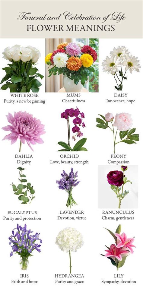 Guide to Selecting Funeral Flowers