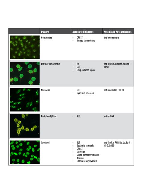 Ana Lab Test Diagnosis Code at Amanda Colton blog