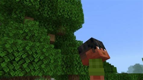 Download Third Person Camera Mod for Minecraft PE: unusual features