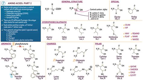 Biochemistry: Amino Acid Structures: Part II | ditki medical & biological sciences