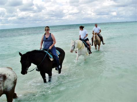 Barbados Cruise Excursions | horseback-riding-barbados2