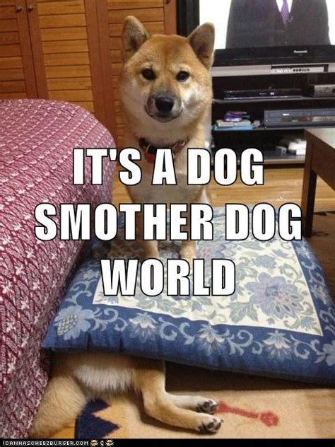 I Has A Hotdog - dog eat dog - Funny Dog Pictures | Dog Memes | Puppy Pictures | Pictures of ...