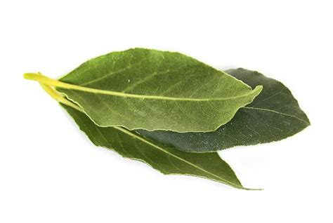 Premium Photo | Fresh bay leaves isolated on white