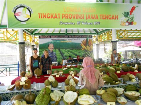 Durian Festivals - Year of the Durian