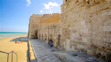 Larnaka Medieval Castle in Larnaca City Centre - Tours and Activities | Expedia