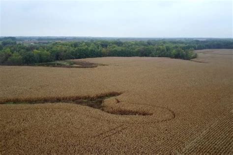 Sustainability Starts on the Farm