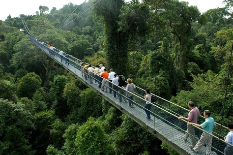 Thomson Nature Park - Parks & Nature Reserves - Gardens, Parks & Nature ...