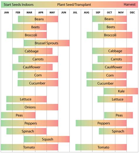 Vegetable Planting Calendar For Pima County