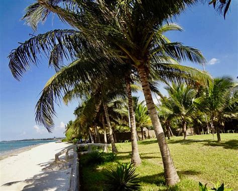 THE 10 BEST Bagamoyo Beach Hotels of 2021 (with Prices) - Tripadvisor