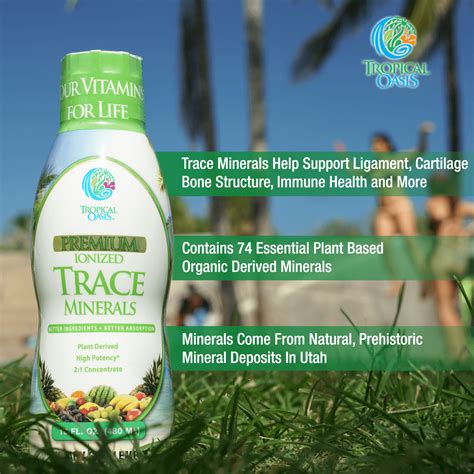 Premium Plant Based Trace Minerals - 74 Natural Organic Ionized Trace ...