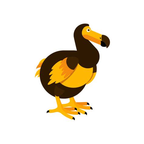 Dodo Illustrations, Royalty-Free Vector Graphics & Clip Art - iStock