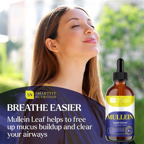 Mullein - Mullein Leaf Extract - Lung Cleanse - Mullein Drops - Organic Mullein Supplement for ...