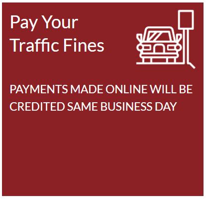 Pay Your Traffic Ticket | Blue Ridge Georgia