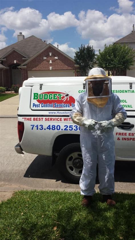 Houston, TX Pest Control Service | Pest Exterminator 77099 | Budget Pest Control Services