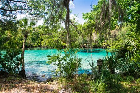 Orlando-Area Natural Springs to Visit