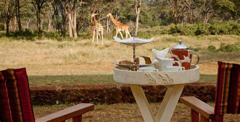 Giraffe Manor in Nairobi, Kenya - Journeys by Design