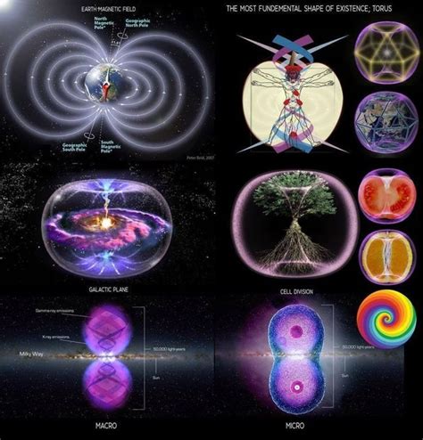 Toroidal Fields in 2020 | Sacred geometry, Sacred geometry art, Spirit science