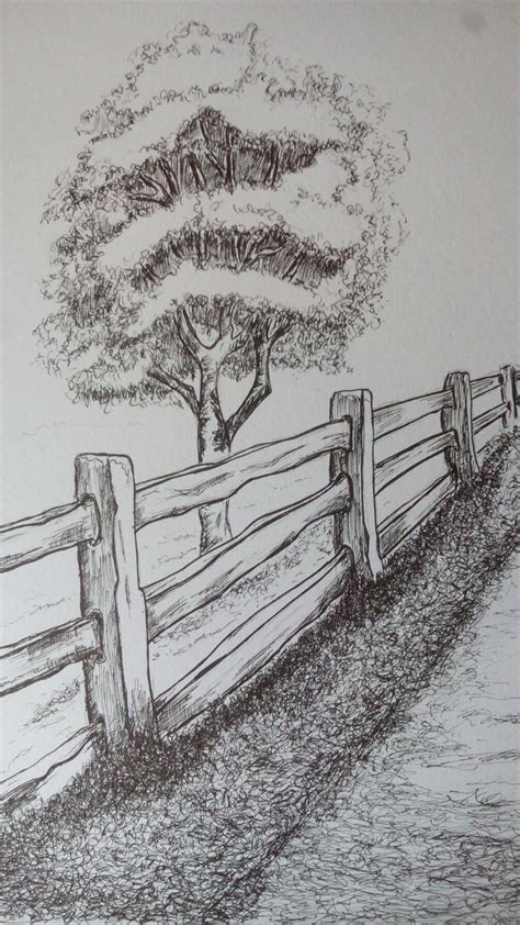 Tree Art Drawing