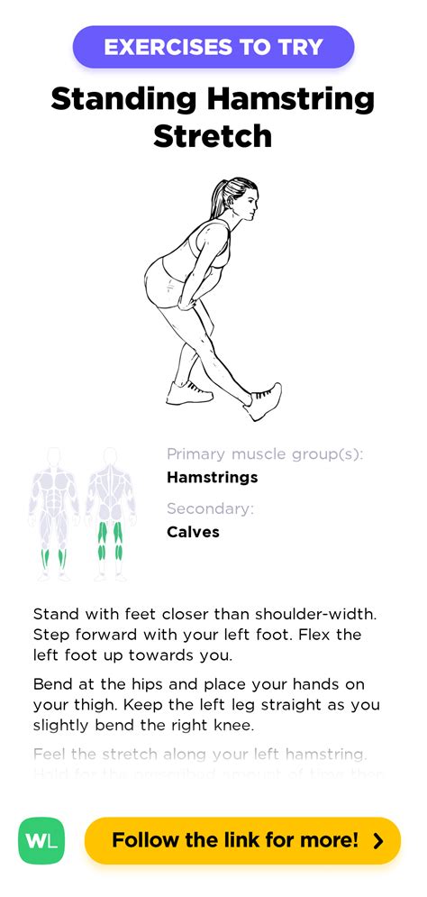 Standing Hamstring Stretch – WorkoutLabs Exercise Guide