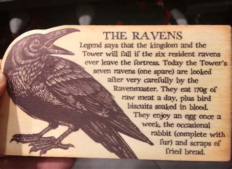 The Tower of London Ravens - Cindy Goes Beyond