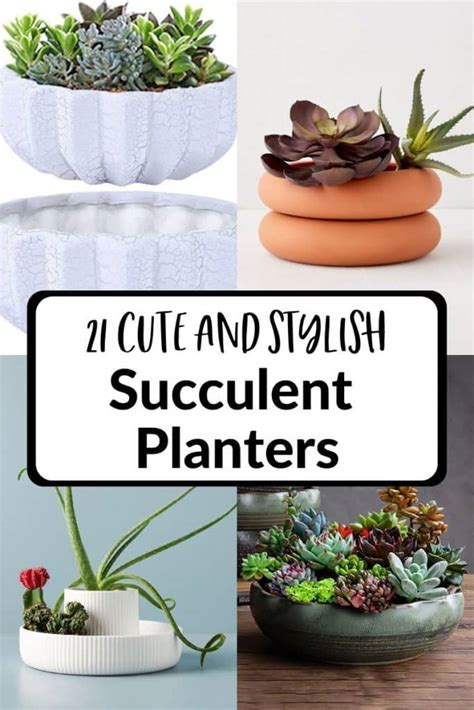 Indoor Succulent Planters: 21 Pots For Displaying Your Succulents